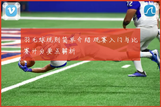 羽毛球规则简单介绍 观赛入门与比赛计分要点解析