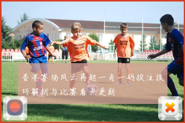香港赛场风云再起一肖一码投注技巧解析与比赛看点更新