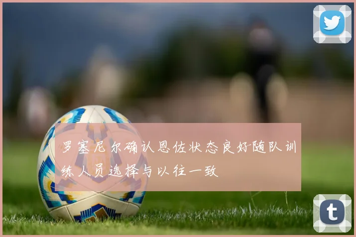 罗塞尼尔确认恩佐状态良好随队训练人员选择与以往一致