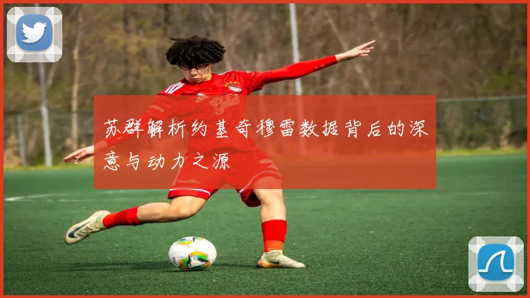苏群解析约基奇穆雷数据背后的深意与动力之源